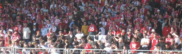 08. Spieltag: TSG Hoffenheim - 1.FSV Mainz 05
