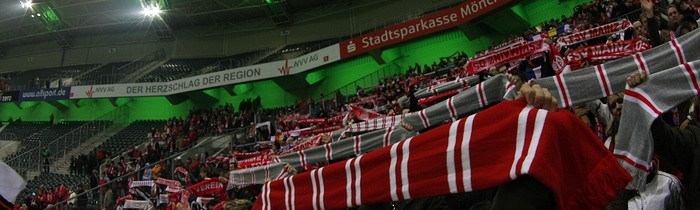 20. Spieltag: VfL Borussia M'Gladbach - 1.FSV Mainz 05