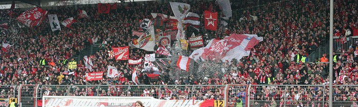 25. Spieltag: 1.FSV Mainz 05 - TSG Hoffenheim