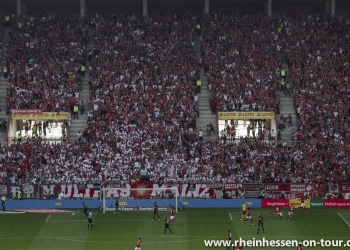 56_vfb-h_1819