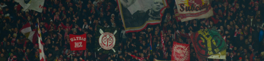 17. Spieltag: 1.FSV Mainz 05 - BV Borussia Dortmund