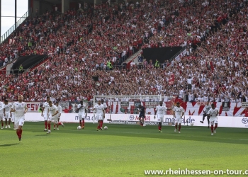 22_vfb-h_1819