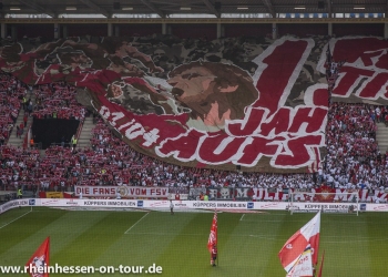 25_vfb-h_1819