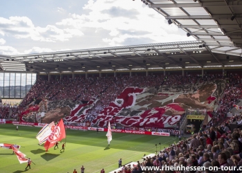 37_vfb-h_1819