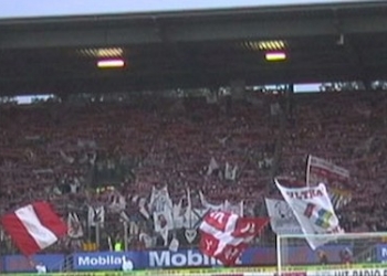 mzfcn6