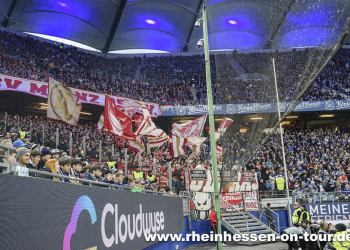 06_hsv_a_2526-11