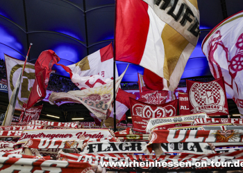 06_hsv_a_2526-8
