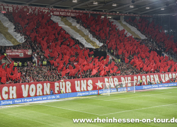 08_vfl_h_2425-10