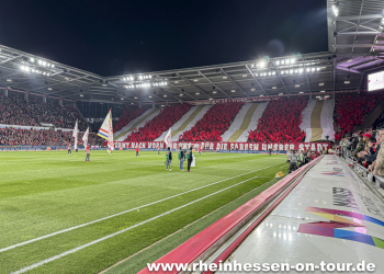 08_vfl_h_2425-11