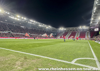 08_vfl_h_2425-12