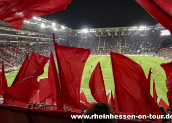 08_vfl_h_2425-13