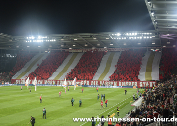 08_vfl_h_2425-14