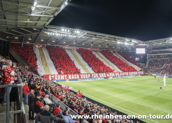 08_vfl_h_2425-15
