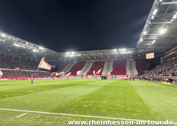 08_vfl_h_2425-16