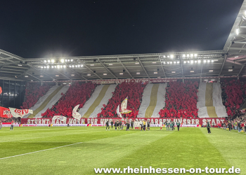 08_vfl_h_2425-19