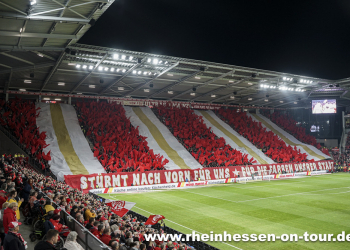 08_vfl_h_2425-20