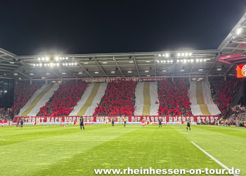 08_vfl_h_2425-21