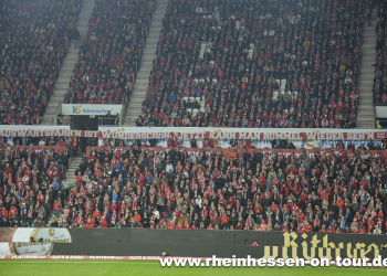 08_vfl_h_2425-29