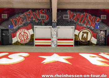08_vfl_h_2425-3