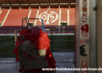 08_vfl_h_2425-4