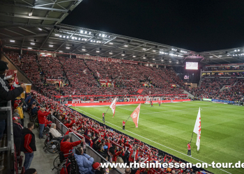 08_vfl_h_2425-8