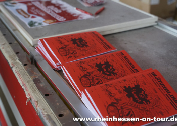 10_bvb_h_2425-1