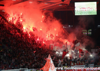 (14)_effzeh_h