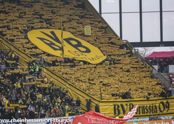 11_bvb-h_1819