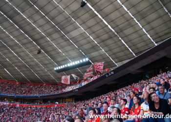 (13)_fcb_a