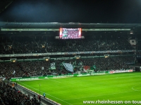 1-DSC_0279bb-2