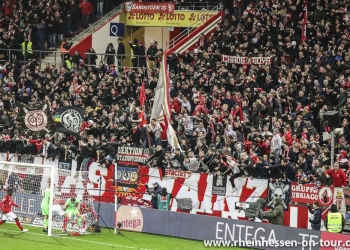 29_h96-h_1819