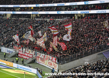 15_sge_a_2425-11