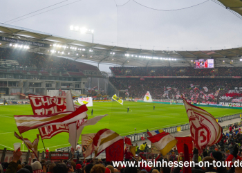 (15)_vfb_a