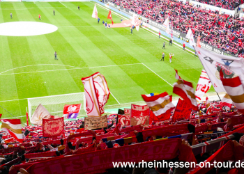 (06)_vfl_h