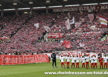 19_vfb_h_2425-1.1