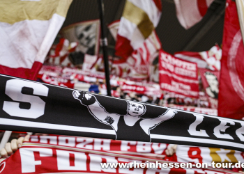 19_vfb_h_2425-2