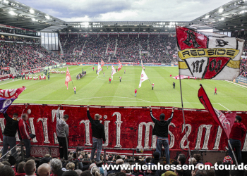 19_vfb_h_2425-7