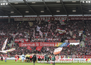 19_vfb_h_2425-8