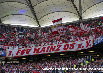 02_hsv_a_2627-15