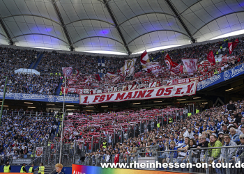 02_hsv_a_2627-17