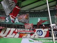 IMG_7355_Kopie