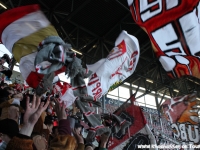 IMG_2842_Kopie