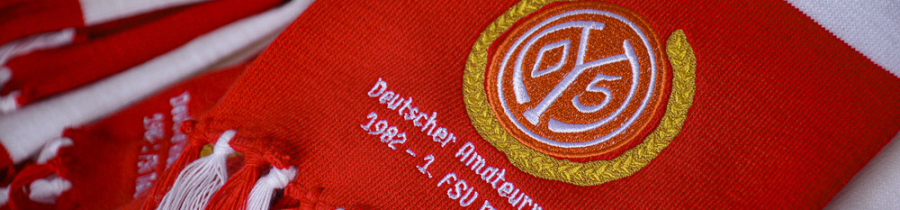 25.Spieltag: 1.FSV Mainz 05 - VfB Stuttgart