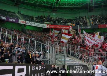 (05)_bmg_a_2425