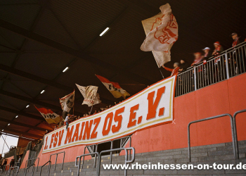 amateure-fsv-h-2223-13