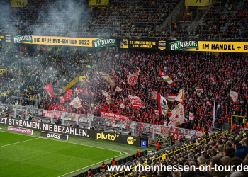 (15)_bvb_a_2425