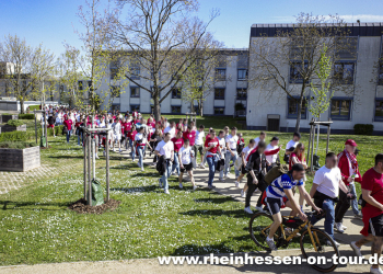 28_ksv_h_2425-1