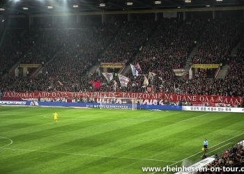 11_scf-h_1819