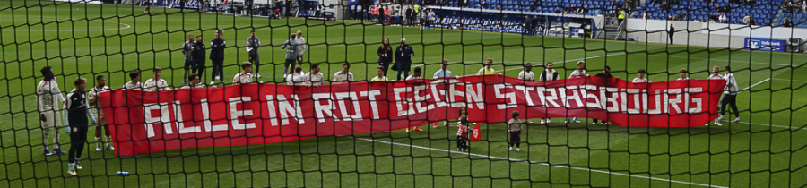 28.Spieltag: TSG Hoffenheim - 1.FSV Mainz 05