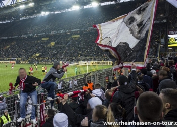 29_bvb-a_1819